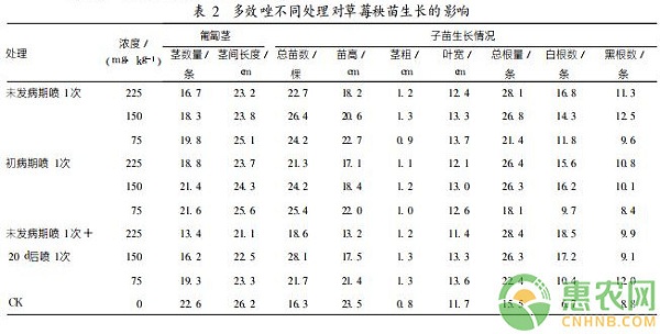 淺談多效唑?qū)Σ葺L過程中的影響