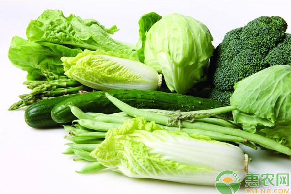 多雨季節(jié)，蔬菜生產(chǎn)需要做哪些管理工作？