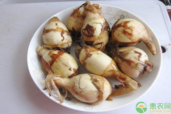花生-慈菇高產(chǎn)高效益間作種植模式
