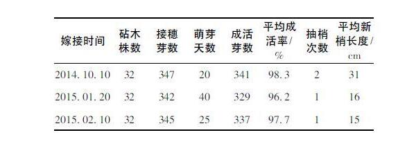 福建省平和县琯溪蜜柚与三红蜜柚高接换种技术