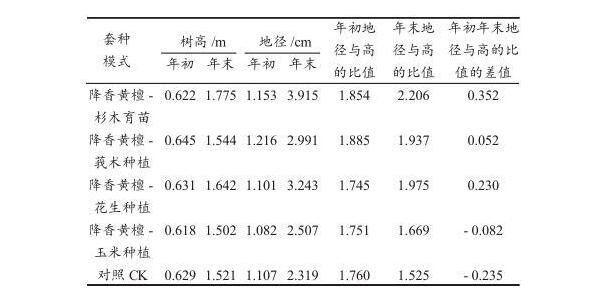 探究廣西降香黃檀幼齡林四種套種發(fā)展模式