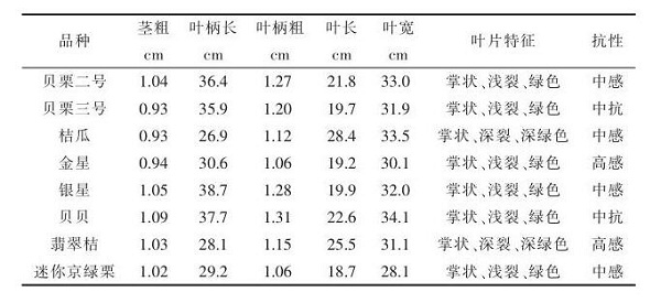 基金項(xiàng)目：迷你南瓜新品種在桂林市引進(jìn)與品比試驗(yàn)