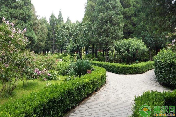 淺談園林反季節(jié)種植的管理技巧