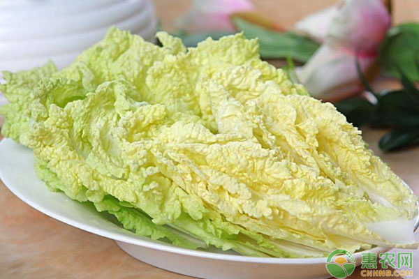 臨澤縣鋼架大棚娃娃菜+甜椒一年兩茬高產(chǎn)栽培技術(shù)