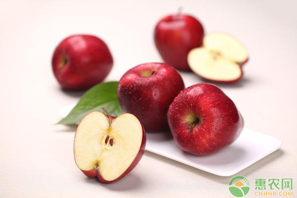 甘肅地區(qū)花牛蘋(píng)果的矮化密植栽培技術(shù)