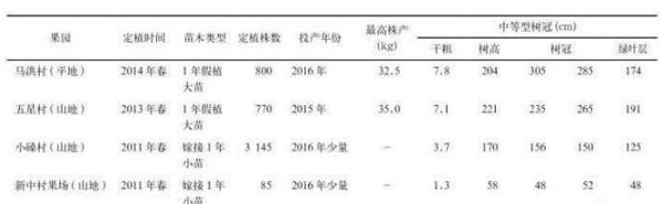 永安市特早熟溫州蜜柑小苗假植大苗定植栽培技術(shù)