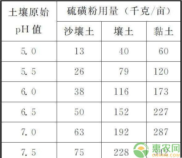 淺析藍莓栽培土壤改良技術要點