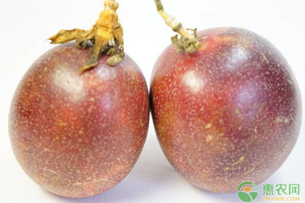百香果病蟲(chóng)如何防治？百香果栽培種植管理及病蟲(chóng)防治措施