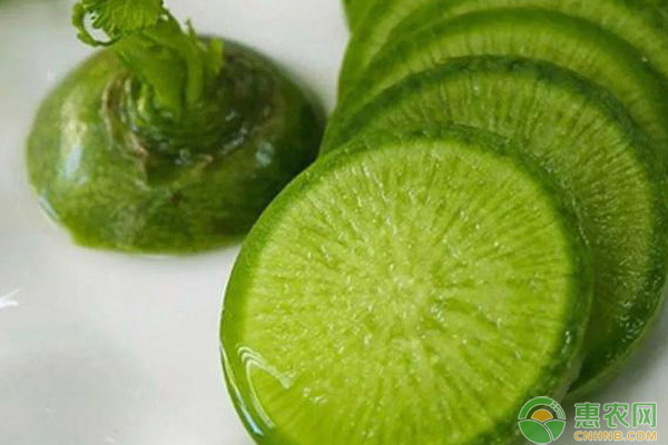 設(shè)施大棚水果蘿卜高效栽培管理技術(shù)