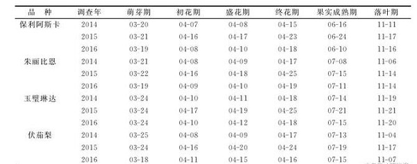 基金項目：早熟西洋梨在煙臺的試栽表現(xiàn)