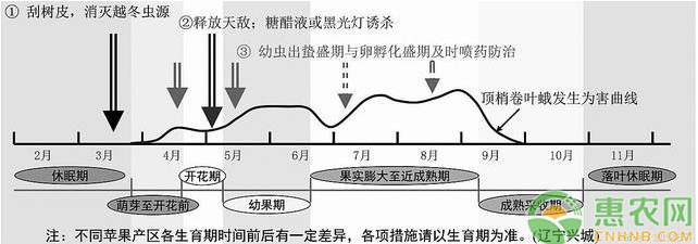 蘋果園2種常見卷葉蛾害蟲的危害特點(diǎn)與防治技術(shù)