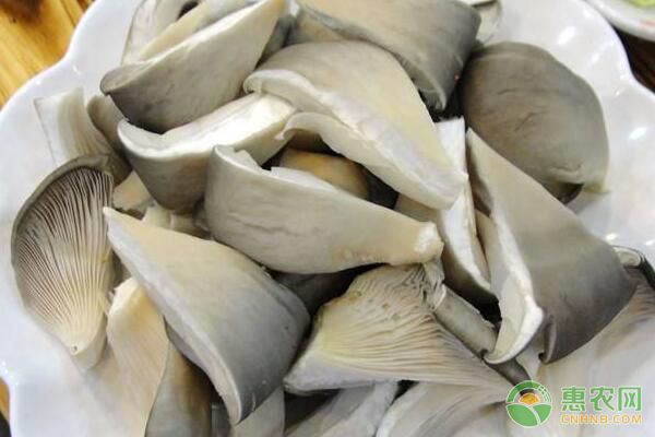 廢棄黃豆秸稈能用于平菇栽培嗎？有哪些操作方法？