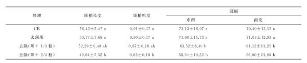 夏季修剪對(duì)幼齡鳳丹生長(zhǎng)結(jié)果有哪些影響？