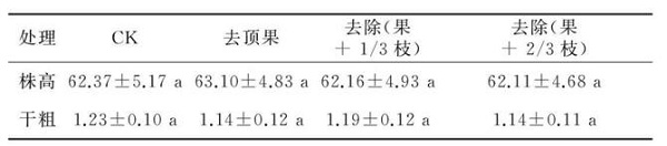 夏季修剪對(duì)幼齡鳳丹生長(zhǎng)結(jié)果有哪些影響？