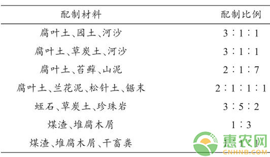 家庭盆栽杜鵑的栽培與養(yǎng)護技術(shù)