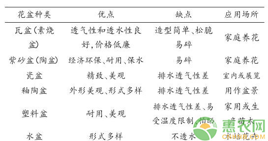 家庭盆栽杜鵑的栽培與養(yǎng)護技術(shù)
