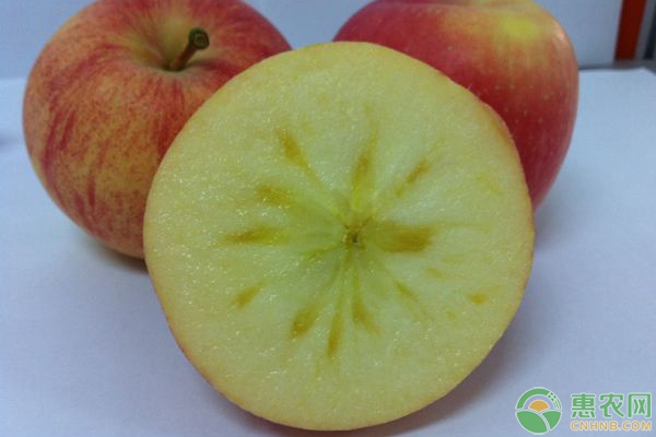 蘋(píng)果種植過(guò)程中存在的11大誤區(qū)