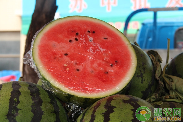 旱地西瓜全膜雙壟溝播高效栽培技術(shù)