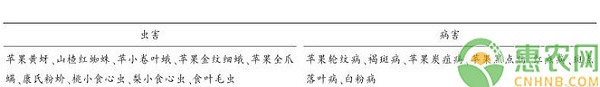 山東省臨沂市蘋果綠色防控技術(shù)操作規(guī)程