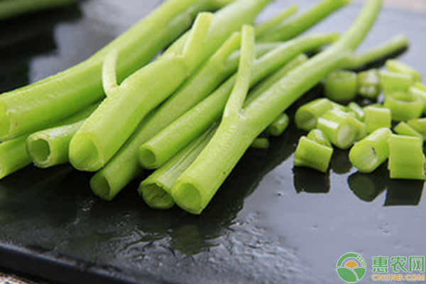 7種適合家庭陽(yáng)臺(tái)種植的蔬菜品種