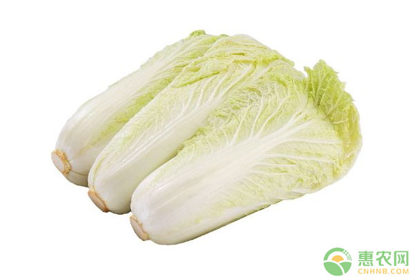 蔬菜生產(chǎn)時(shí)為何要使用無紡布？蔬菜生產(chǎn)無紡布使用要點(diǎn)