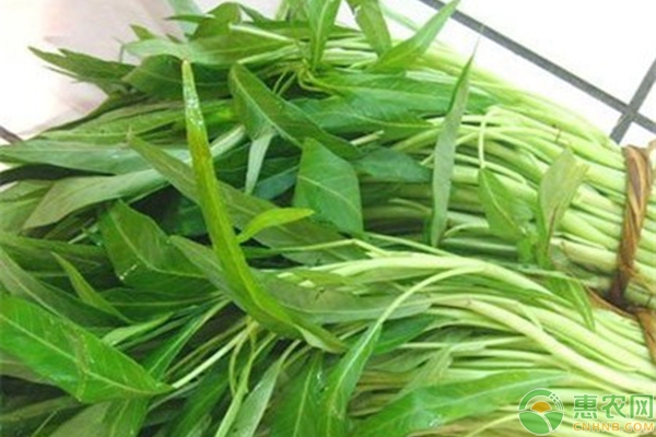 蔬菜生產(chǎn)時(shí)為何要使用無紡布？蔬菜生產(chǎn)無紡布使用要點(diǎn)