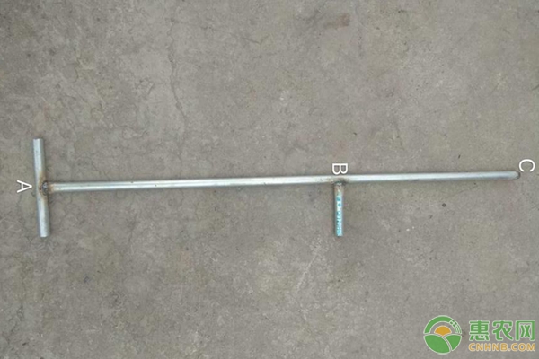 櫻桃樹拉枝方法及工具