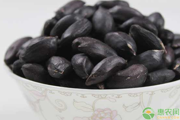 黑花生什么時候種植？黑花生種植時間和方法