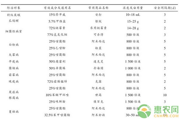 高山西瓜嫁接栽培技術(shù)規(guī)程
