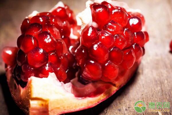 山東棗莊石榴花果期管理要點(diǎn)（附果實(shí)貯藏方法）