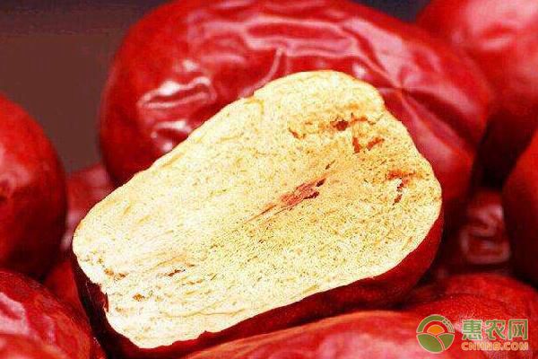 湖南雞蛋棗矮化后的配套栽培技術(shù)措施