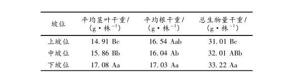龍巖市毛竹林下黃花遠(yuǎn)志種植技術(shù)