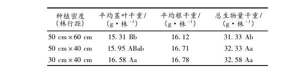 龍巖市毛竹林下黃花遠(yuǎn)志種植技術(shù)