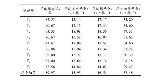 龍巖市毛竹林下黃花遠(yuǎn)志種植技術(shù)