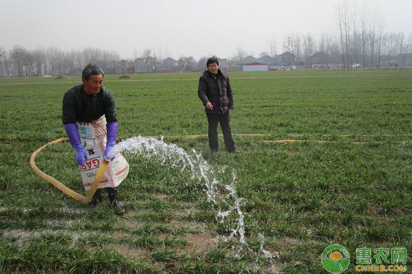 小麥播種能澆水嗎