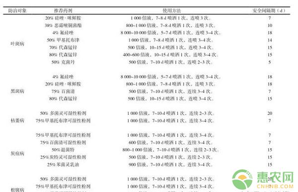 湖南多花黃精規(guī)范化栽培技術(shù)及病蟲(chóng)害防治要點(diǎn)