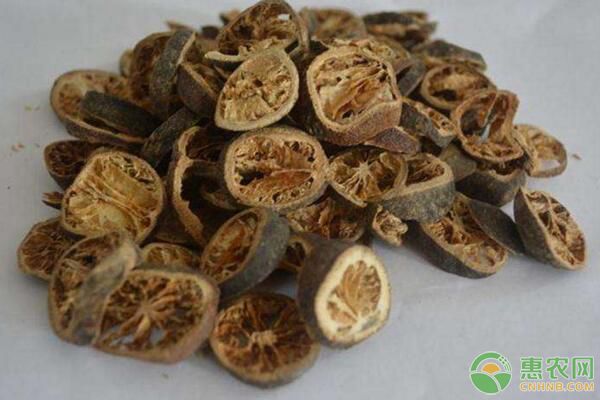 枳殼栽植技術及其病蟲害防治措施