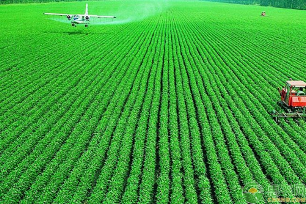 重茬種植農(nóng)作物的危害及改善方案