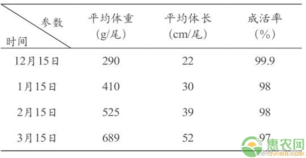 大菱鲆北魚南養(yǎng)試驗小結(jié)