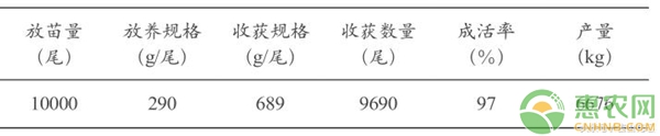 大菱鲆北魚南養(yǎng)試驗小結(jié)
