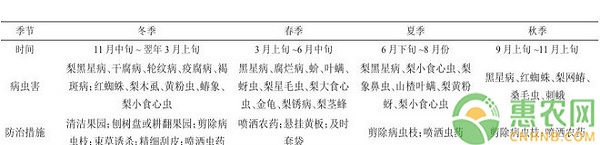 梨树全周年病虫害防治技术解析
