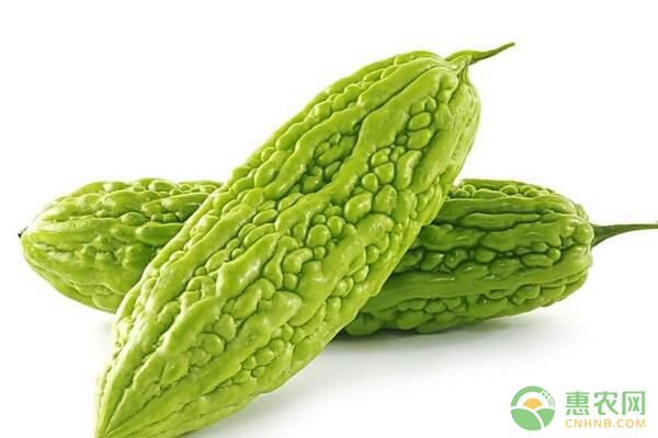 面對冬季低溫陰雨、寒流冷凍等氣候，設(shè)施蔬菜如何應(yīng)對？