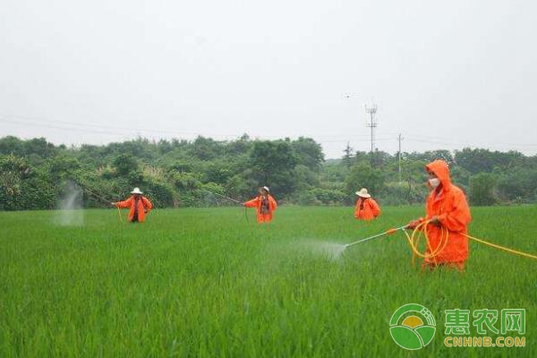 識別農(nóng)藥是否失效的方法