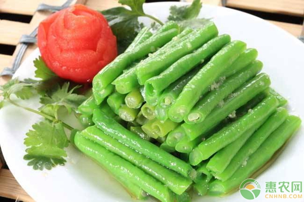 豇豆延長采摘期，早衰防治的方法措施及藥用方案
