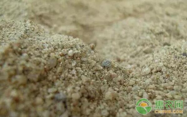 植保專家對于土壤科學(xué)施肥的知識介紹