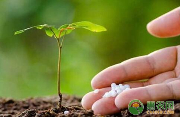 植保專家對于土壤科學(xué)施肥的知識介紹