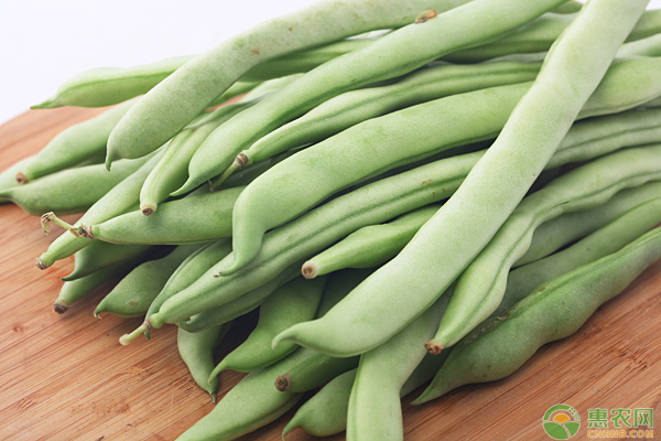 豆角高產(chǎn)栽培