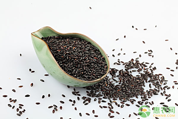 農(nóng)作物種子的保存方法
