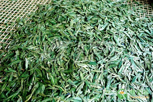 如何用茶葉巧妙的治療牛羊??？學(xué)會(huì)這些方法很簡(jiǎn)單