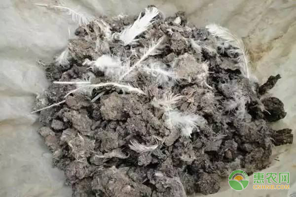 糞肥發(fā)酵的處理